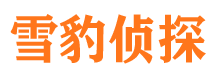 红塔调查公司